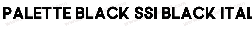 Palette Black SSi Black Italic字体转换